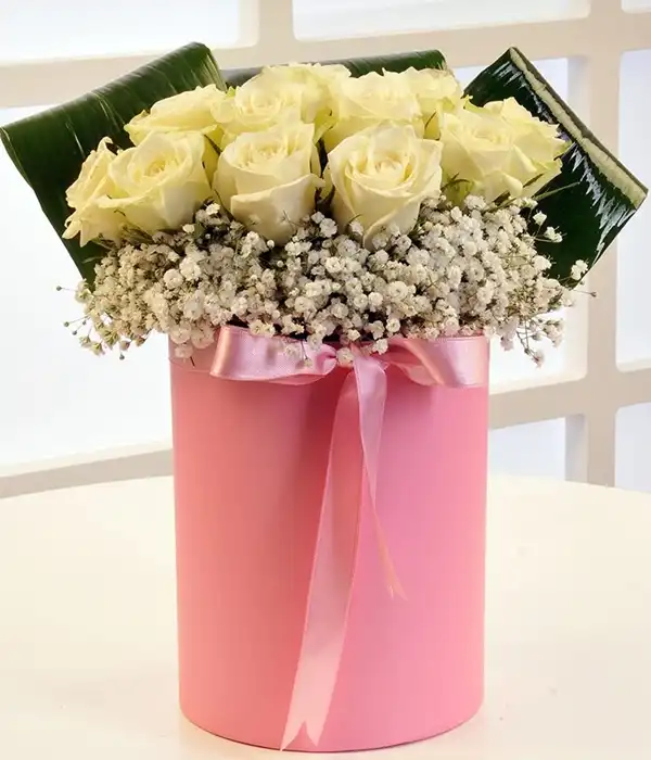 Kutuda Beyaz Zarafet