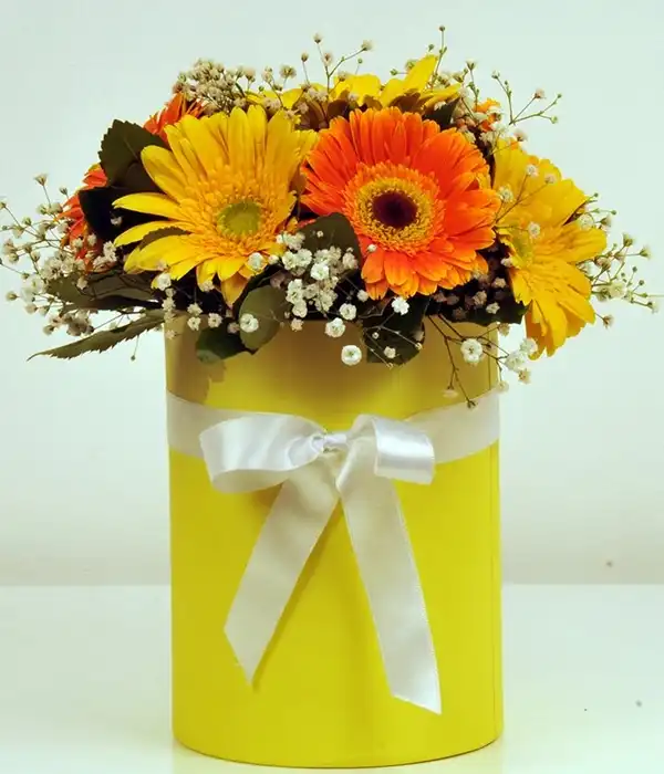 Kutuda Mevsim Çiçekleri