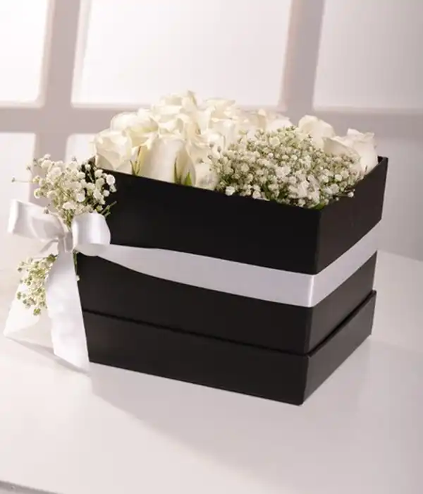 Kutuda Beyaz Güller