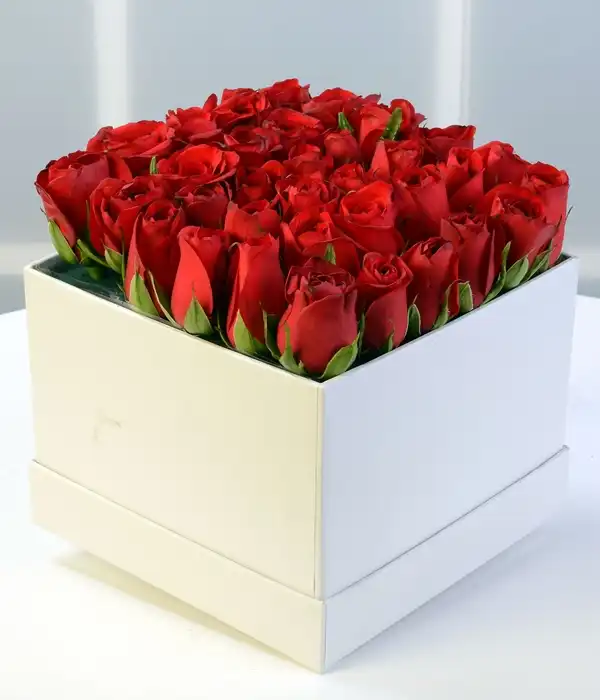 Kutuda Kırmızı Aşk