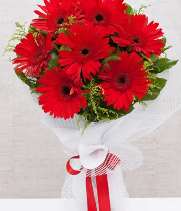 Kırmızı Garbela Buketi