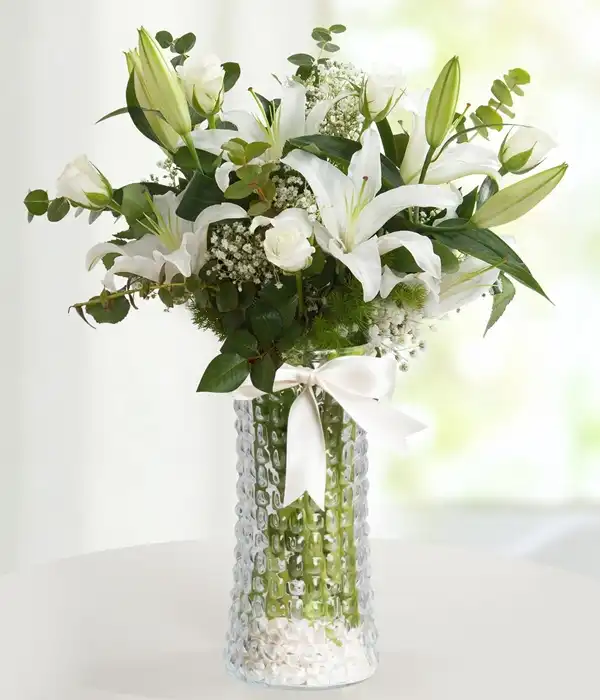 Beyaz Düşler ...!!!