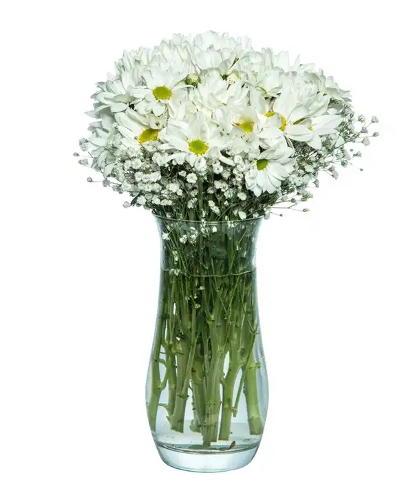 Beyaz Papatyalar Cam Vazoda