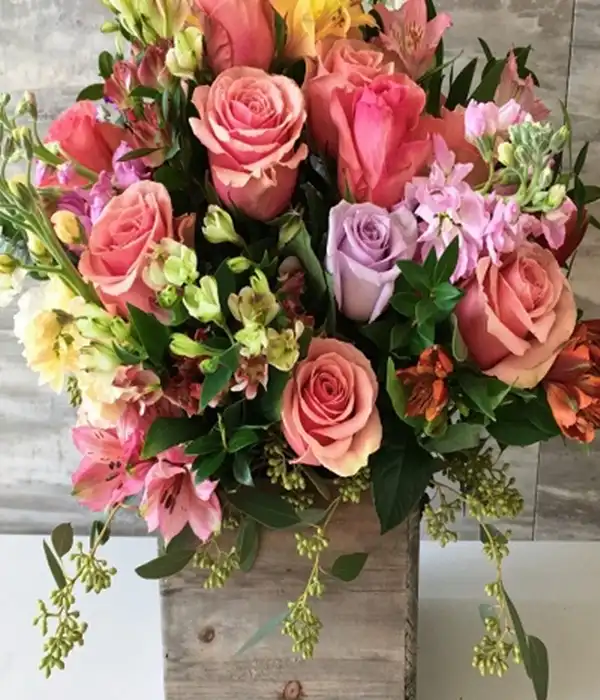 Düşlerdeki Güller