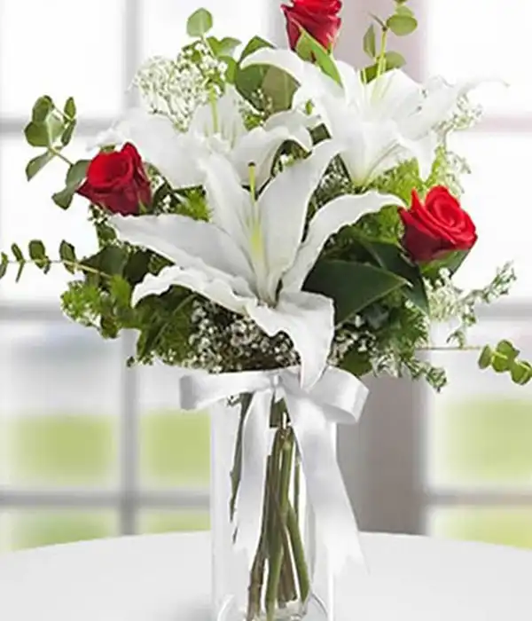 Casablanca & Kırmızı Gül Arajman