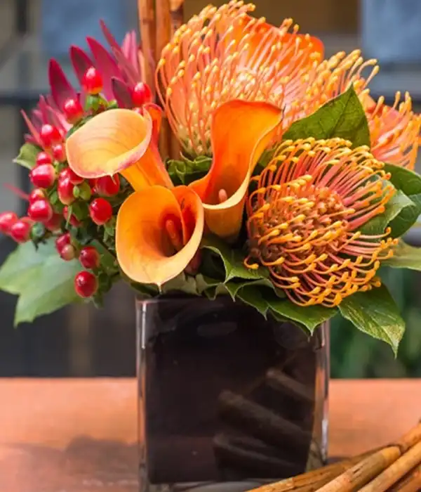 Gönlümün Güneşi