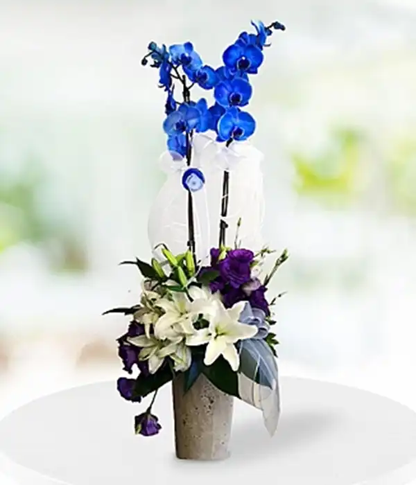 Mavi Orkide ve Lilyumlar