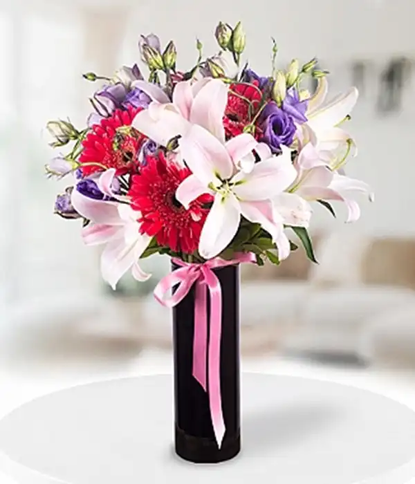 Seni Seviyorum Birtanem