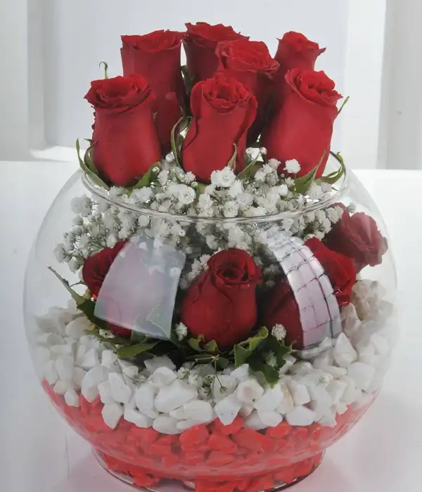 Kırmızı Gül Aşkı