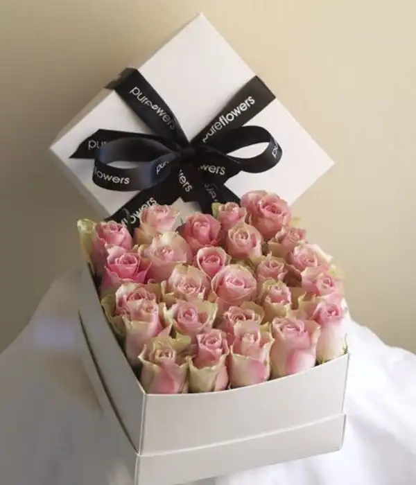 Kutuda Pembe Güller