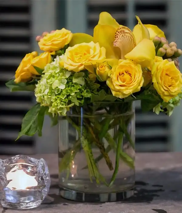 Sarı Güller ve Şakayıkların Uyumu