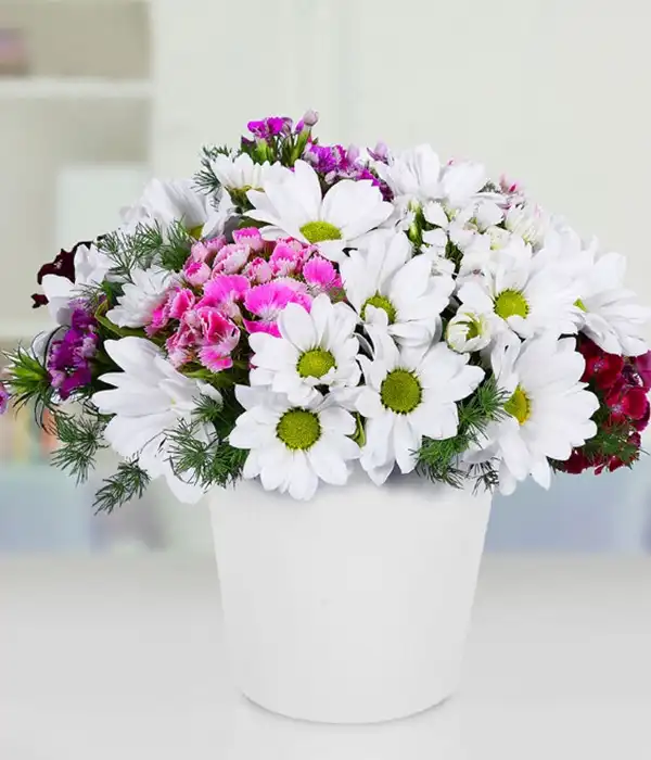 Seramikte Papatya ve Hüsnüyusuf